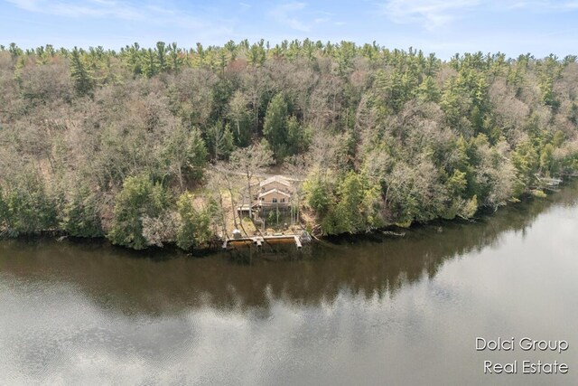 4600 S Teal Ln, Newaygo, MI 49337 - aerial view featuring a water view and a forest view