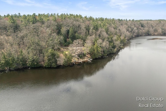 4600 S Teal Ln, Newaygo, MI 49337 - view of water feature with a view of trees