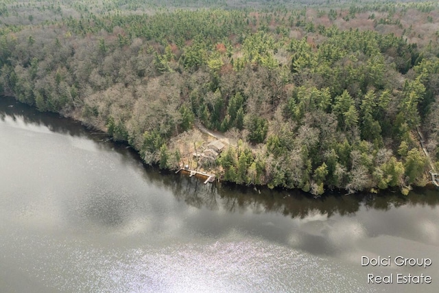 4600 S Teal Ln, Newaygo, MI 49337 - aerial view featuring a forest view and a water view