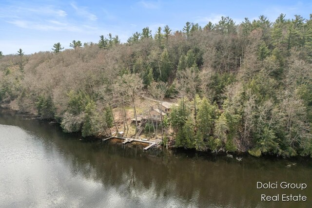 4600 S Teal Ln, Newaygo, MI 49337 - birds eye view of property with a view of trees and a water view