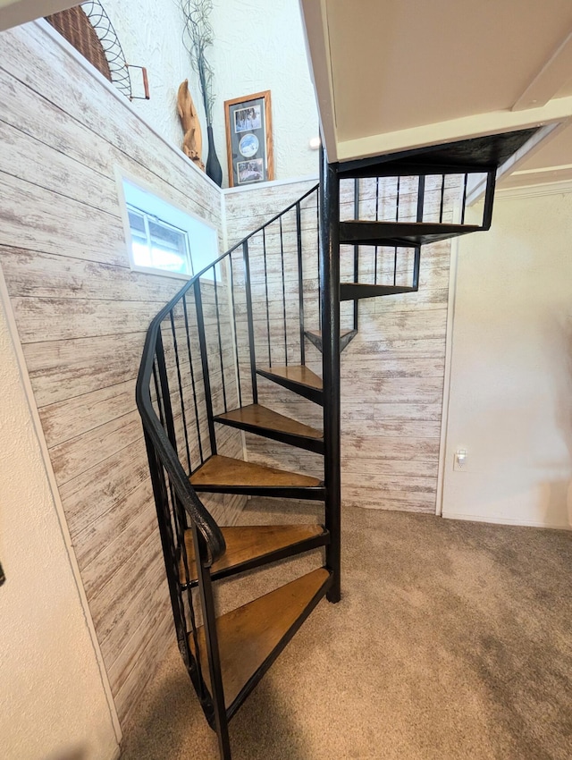 4041 Case Dr, Union City, MI 49094 - photo 48