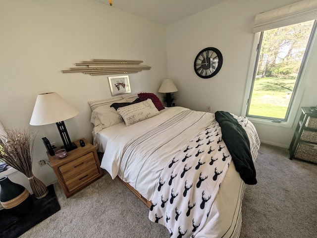 4041 Case Dr, Union City, MI 49094 - photo 43
