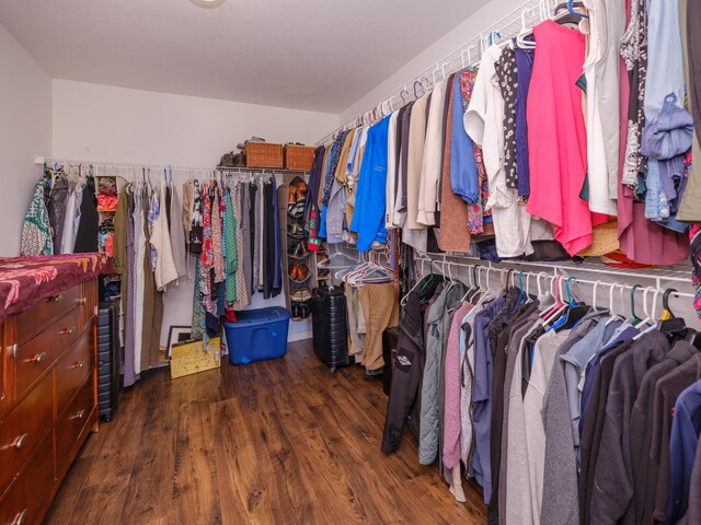 30777 Packard St, Paw Paw, MI 49079 - spacious closet featuring wood finished floors