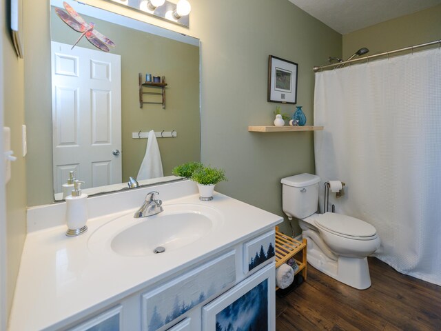 30777 Packard St, Paw Paw, MI 49079 - bathroom featuring toilet, wood finished floors, vanity, and a shower with curtain