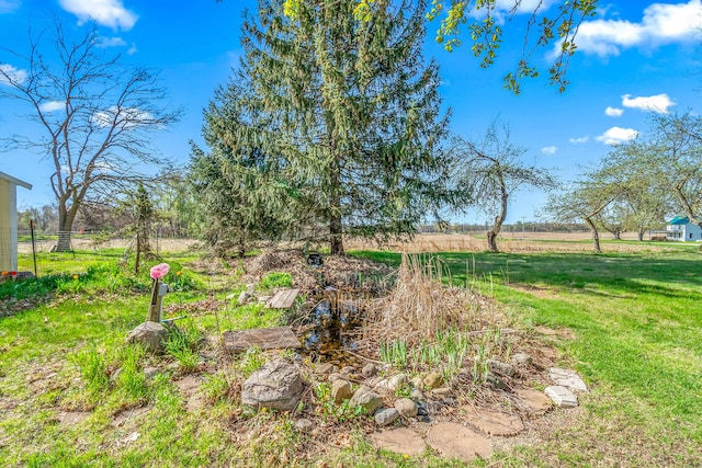 view of yard featuring a rural view