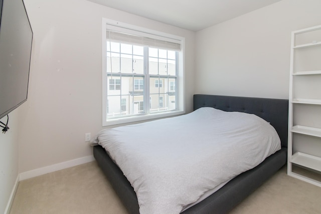 2841 Hardwick Rd, Ann Arbor, MI 48105 - bedroom featuring carpet floors and baseboards