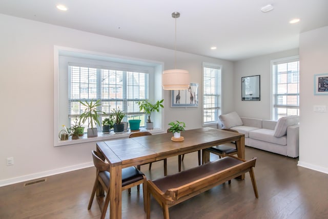 2841 Hardwick Rd, Ann Arbor, MI 48105 - dining room with a healthy amount of sunlight, baseboards, and dark wood-type flooring