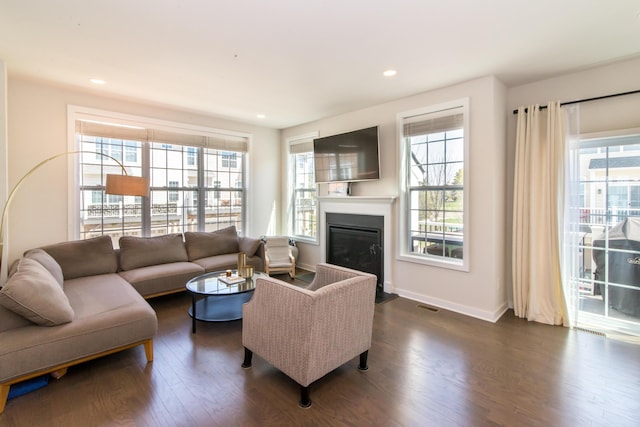 2841 Hardwick Rd, Ann Arbor, MI 48105 - living area with a healthy amount of sunlight, baseboards, a glass covered fireplace, and dark wood-style floors
