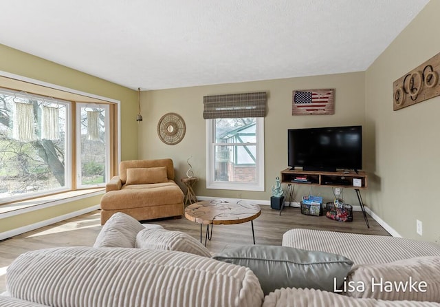 living area with baseboards and wood finished floors