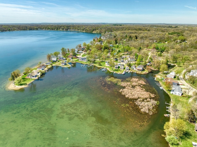 5576 Rays Dr, Onsted, MI 49265 - drone / aerial view with a water view and a forest view