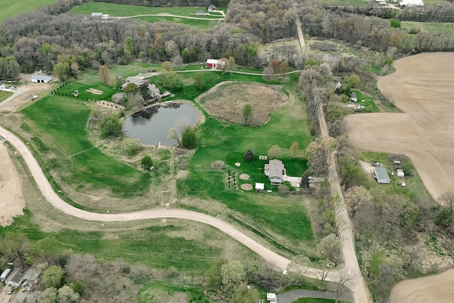 Reflection Pond Dr, Middleville, MI 49333