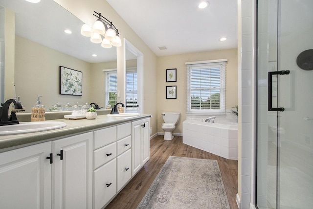 2191 W Linco Rd, Stevensville, MI 49127 - bathroom with double vanity, toilet, a stall shower, plenty of natural light, and recessed lighting