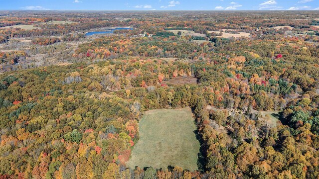 2347 W W Dowling Rd, Delton, MI 49046 - aerial overview of property's location with a forest