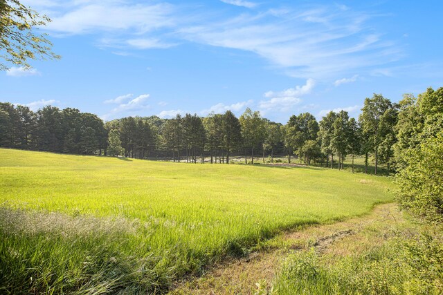 2347 W W Dowling Rd, Delton, MI 49046 - view of wooded area with a view of countryside