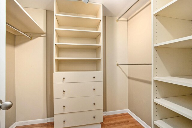 2347 W W Dowling Rd, Delton, MI 49046 - walk in closet with light wood-style floors