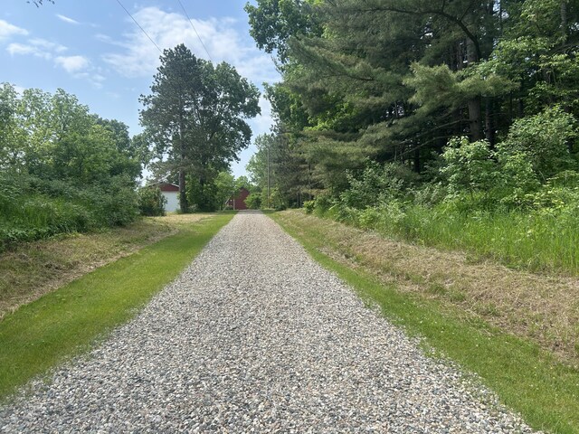 2347 W W Dowling Rd, Delton, MI 49046 - view of street
