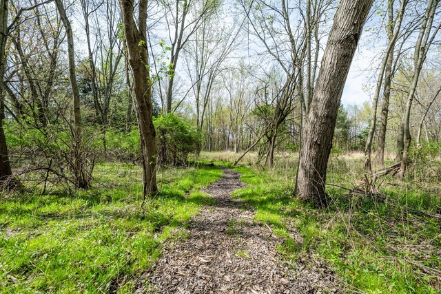 10401 Jericho Rd, Bridgman, MI 49106 - view of street with a wooded view