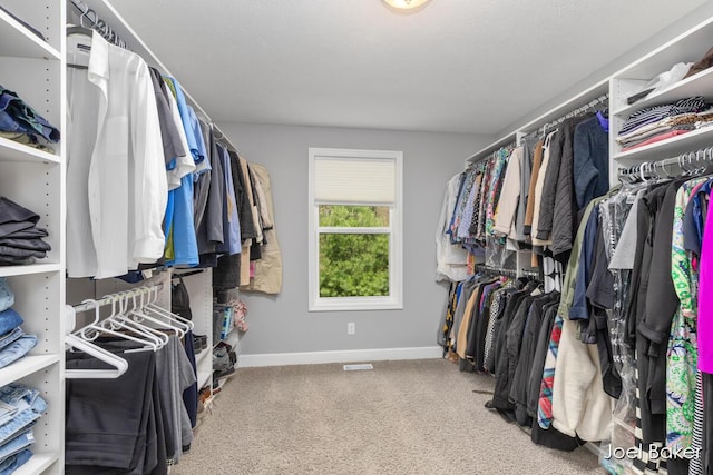spacious closet with carpet flooring