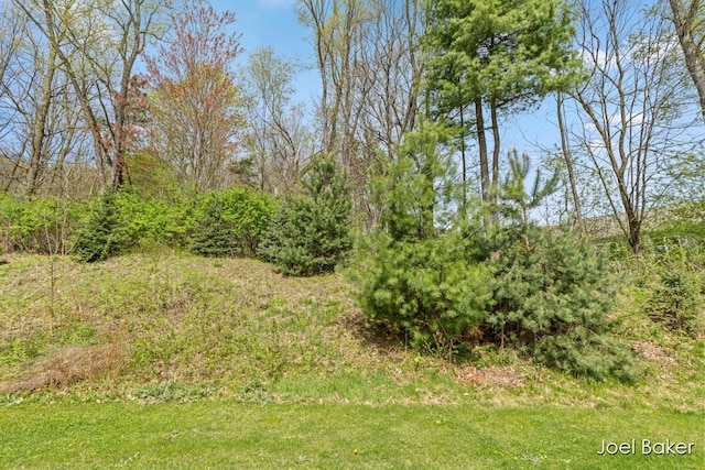 view of local wilderness
