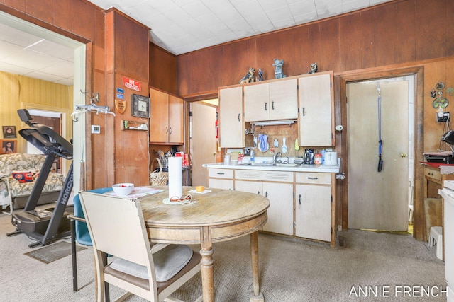69 W 13th St, Holland, MI 49423 - kitchen featuring light colored carpet, wooden walls, light countertops, and a sink