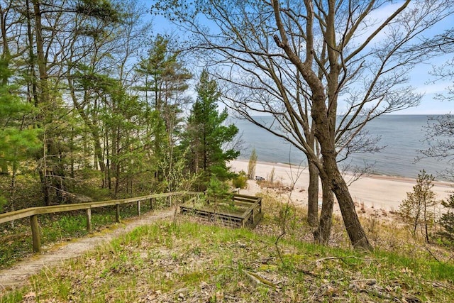 80220 Linden Hills St, Covert, MI 49043 - view of yard with view of water and beach