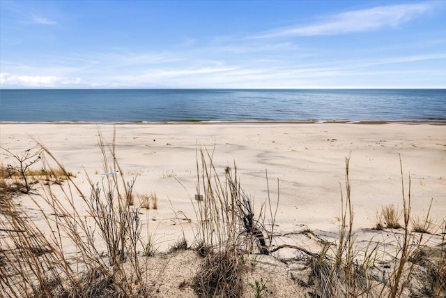 80220 Linden Hills St, Covert, MI 49043 - water view with local beach