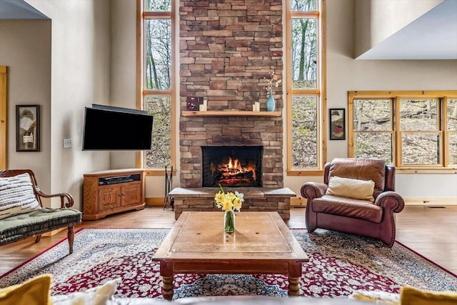80220 Linden Hills St, Covert, MI 49043 - living room with wood finished floors, a stone fireplace, plenty of natural light, and a high ceiling