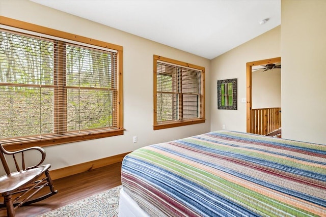 80220 Linden Hills St, Covert, MI 49043 - bedroom featuring wood finished floors and lofted ceiling