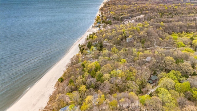 80220 Linden Hills St, Covert, MI 49043 - aerial view of property's location featuring expansive coastline
