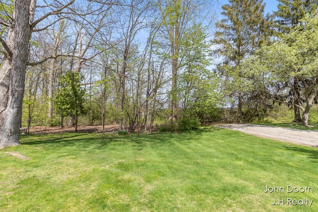 view of green lawn
