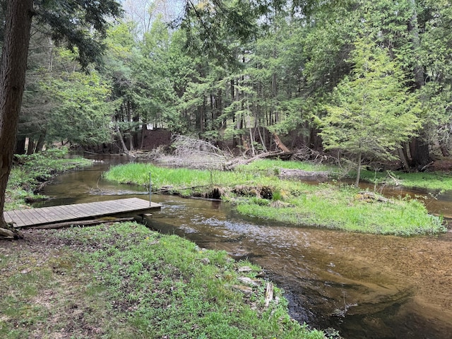 3574 N Comanche Trl, Branch, MI 49402 - view of yard featuring a boat dock