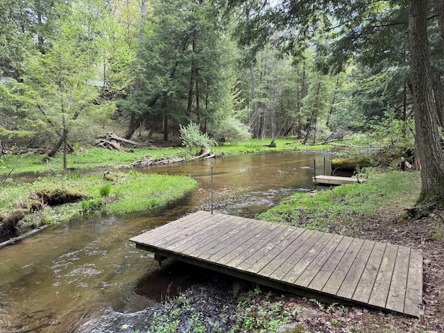 3574 N Comanche Trl, Branch, MI 49402 - dock with a wooded view