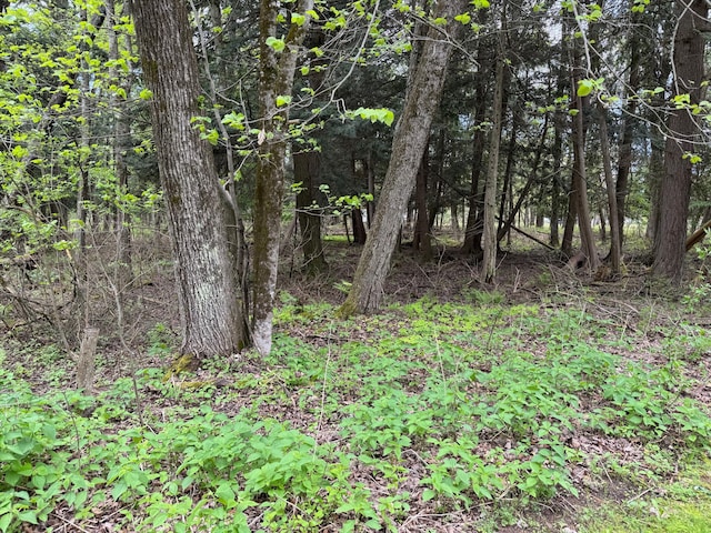 3574 N Comanche Trl, Branch, MI 49402 - view of woods