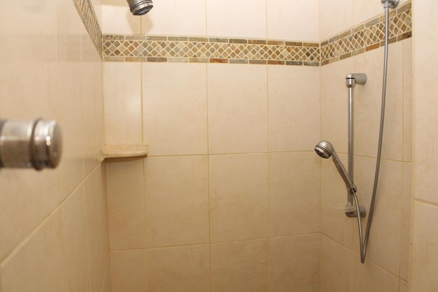 60 Timber Ridge Ct, Milan, MI 48160 - bathroom view of tiled shower