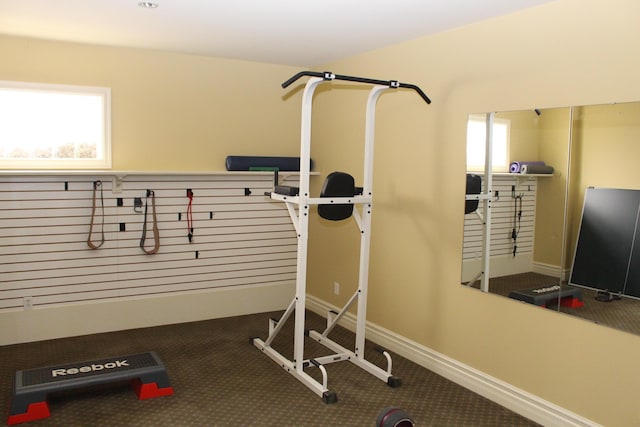 60 Timber Ridge Ct, Milan, MI 48160 - workout area featuring carpet flooring and baseboards