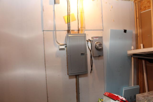 60 Timber Ridge Ct, Milan, MI 48160 - detailed view of electric panel and electric meter
