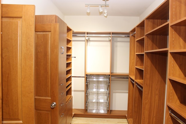 60 Timber Ridge Ct, Milan, MI 48160 - spacious closet featuring wood finished floors