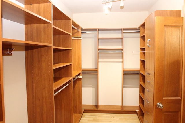 60 Timber Ridge Ct, Milan, MI 48160 - walk in closet featuring light wood-style flooring