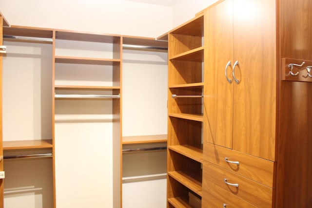 60 Timber Ridge Ct, Milan, MI 48160 - view of walk in closet