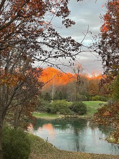 60 Timber Ridge Ct, Milan, MI 48160 - water view featuring a mountainous background