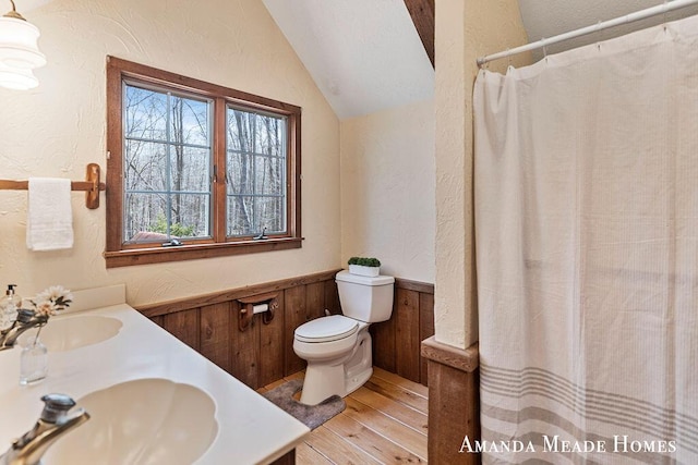 12345 92nd St SE, Alto, MI 49302 - bathroom with wood finished floors, a sink, lofted ceiling, and toilet