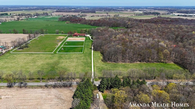 12345 92nd St SE, Alto, MI 49302 - birds eye view of property with a rural view