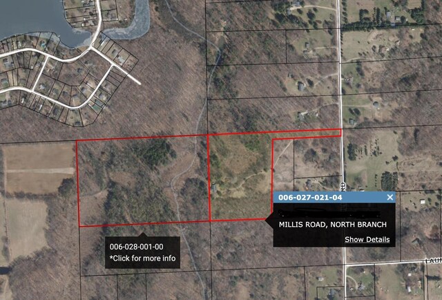 4991 Millis Rd, North Branch, MI 48461 - photo 3