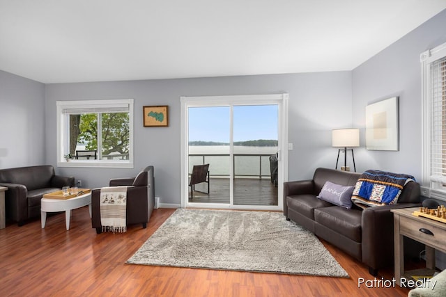 1266 E 88th St, Newaygo, MI 49337 - living room with wood finished floors