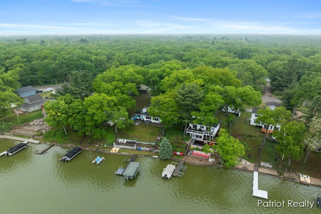 1266 E 88th St, Newaygo, MI 49337 - bird's eye view of a forest and a nearby body of water