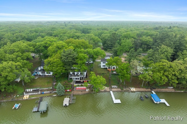 1266 E 88th St, Newaygo, MI 49337 - drone / aerial view of a nearby body of water and a forest