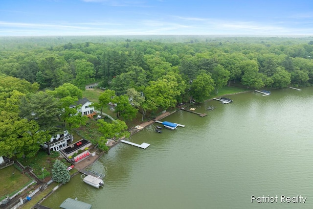 1266 E 88th St, Newaygo, MI 49337 - bird's eye view of a large body of water and a forest