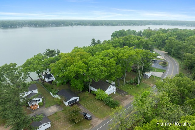 1266 E 88th St, Newaygo, MI 49337 - drone / aerial view of a large body of water