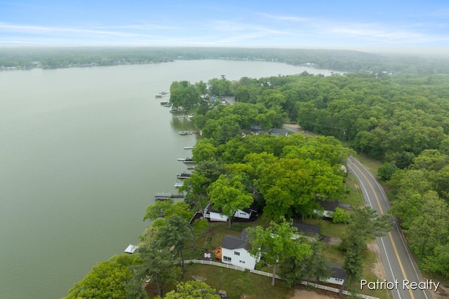 1266 E 88th St, Newaygo, MI 49337 - bird's eye view of a large body of water and a forest