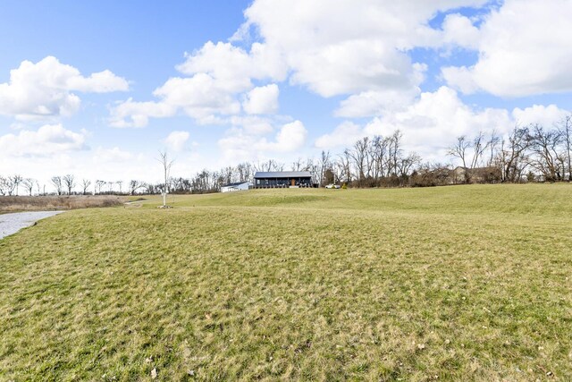 7499 Mathews Rd, Spring Arbor, MI 49283 - view of yard